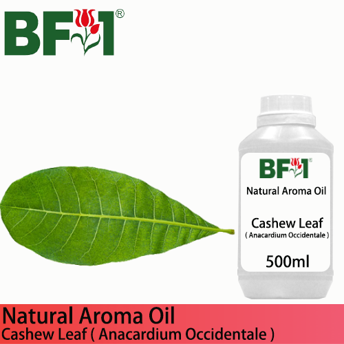 Natural Aroma Oil (AO) - Cashew Leaf ( Anacardium Occidentale ) Aroma Oil - 500ml