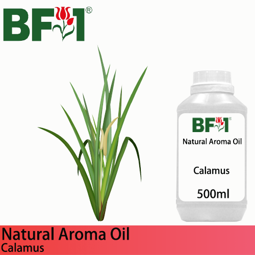 Natural Aroma Oil (AO) - Calamus Aroma Oil - 500ml