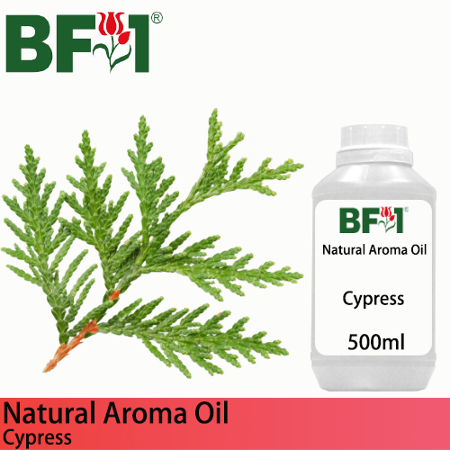 Natural Aroma Oil (AO) - Cypress Aroma Oil - 500ml
