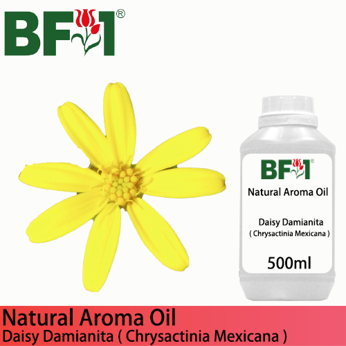 Natural Aroma Oil (AO) - Daisy Damianita ( Chrysactinia Mexicana ) Aroma Oil  - 500ml