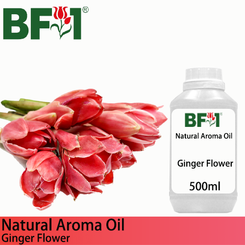 Natural Aroma Oil (AO) - Ginger Flower Aroma Oil  - 500ml