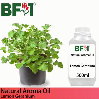 Natural Aroma Oil (AO) - Geranium - Lemon Geranium Aroma Oil  - 500ml
