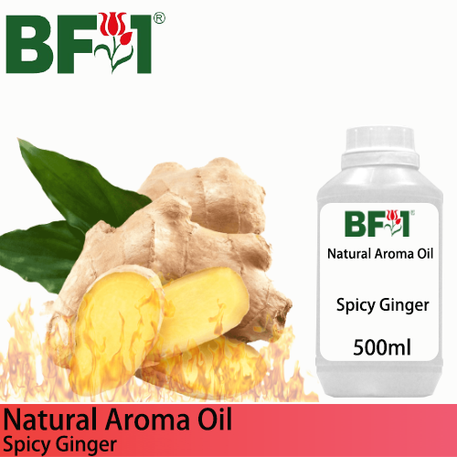 Natural Aroma Oil (AO) - Ginger - Spicy Ginger Aroma Oil - 500ml