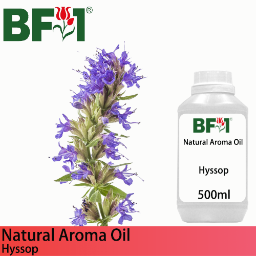 Natural Aroma Oil (AO) - Hyssop Aroma Oil  - 500ml