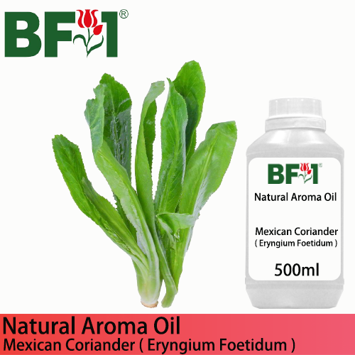 Natural Aroma Oil (AO) - Mexican Coriander ( Eryngium Foetidum ) Aroma Oil  - 500ml