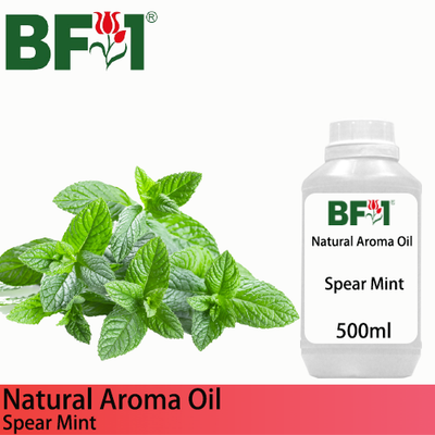 Natural Aroma Oil (AO) - Mint - Spear Mint Aroma Oil  - 500ml