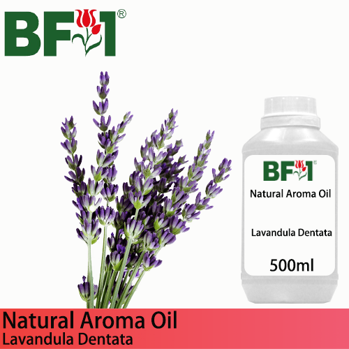 Natural Aroma Oil (AO) - Lavandula Dentata Aroma Oil  - 500ml