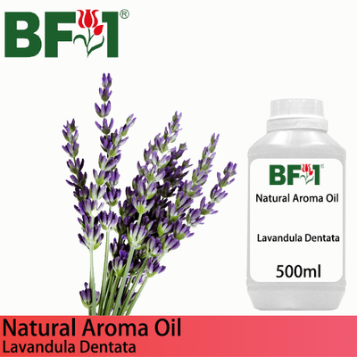 Natural Aroma Oil (AO) - Lavandula Dentata Aroma Oil  - 500ml