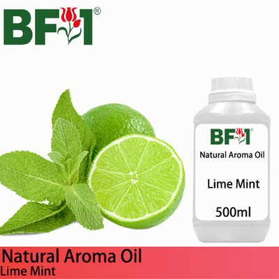 Natural Aroma Oil (AO) - Mint - Lime Mint Aroma Oil  - 500ml