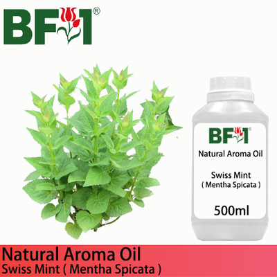 Natural Aroma Oil (AO) - Mint - Swiss Mint ( Mentha Spicata ) Aroma Oil  - 500ml