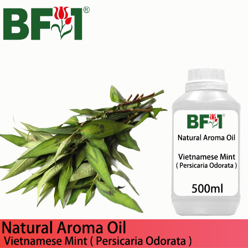 Natural Aroma Oil (AO) - Mint - Vietnamese Mint ( Persicaria Odorata ) Aroma Oil - 500ml