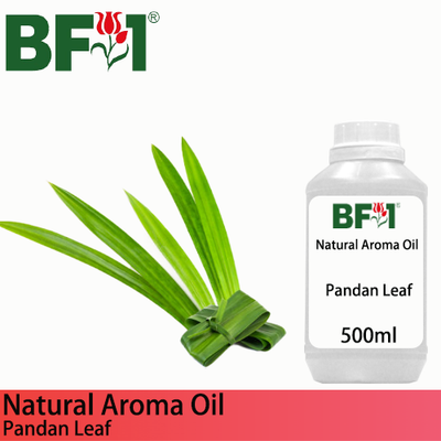 Natural Aroma Oil (AO) - Pandan Leaf Aroma Oil - 500ml