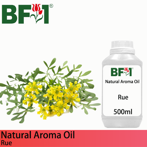 Natural Aroma Oil (AO) - Rue ( Ruta Graveolens ) Aroma Oil  - 500ml