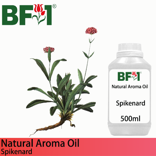 Natural Aroma Oil (AO) - Spikenard Aroma Oil  - 500ml