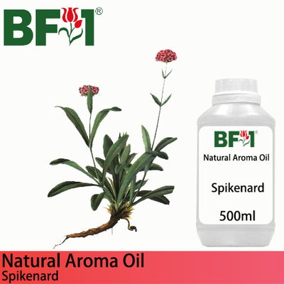 Natural Aroma Oil (AO) - Spikenard Aroma Oil - 500ml