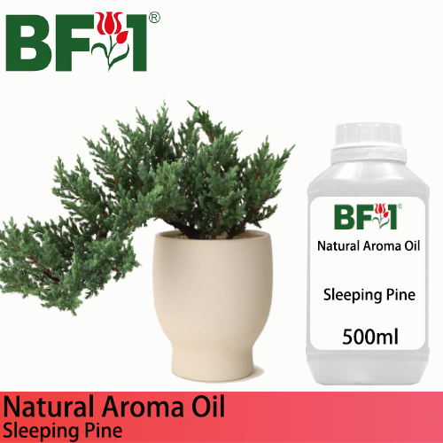 Natural Aroma Oil (AO) - Pine - Sleeping Pine Aroma Oil  - 500ml