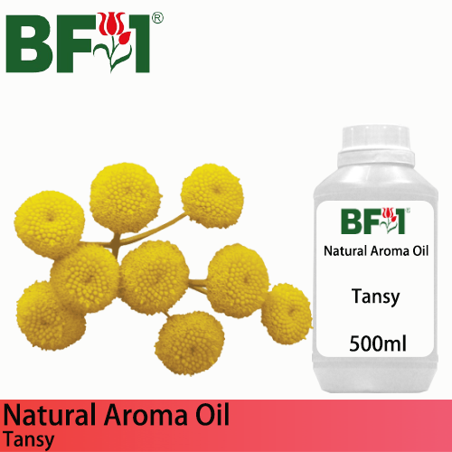 Natural Aroma Oil (AO) - Tansy Aroma Oil  - 500ml