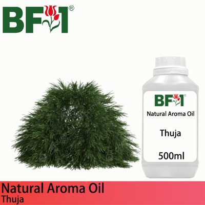 Natural Aroma Oil (AO) - Thuja Aroma Oil - 500ml