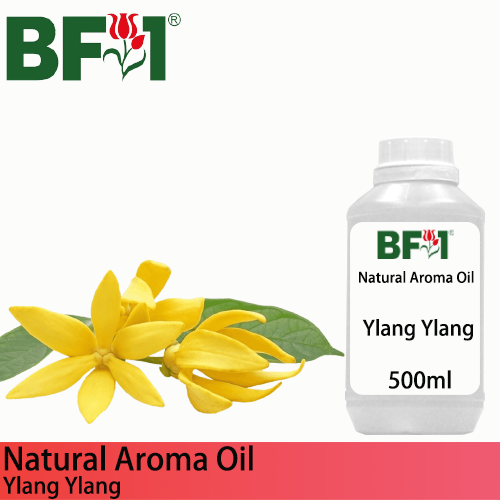 Natural Aroma Oil (AO) - Ylang Ylang Aroma Oil  - 500ml