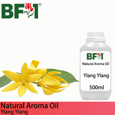 Natural Aroma Oil (AO) - Ylang Ylang Aroma Oil - 500ml