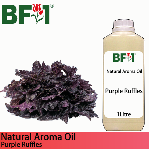 Natural Aroma Oil (AO) - Basil - Purple Ruffles Basil Aroma Oil