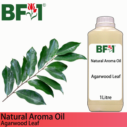 Natural Aroma Oil (AO) - Agarwood Leaf Aroma Oil - 1L