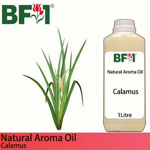 Natural Aroma Oil (AO) - Calamus Aroma Oil  - 1L