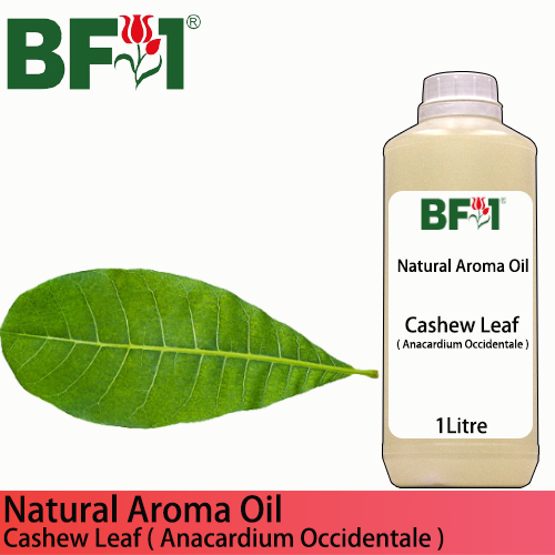 Natural Aroma Oil (AO) - Cashew Leaf ( Anacardium Occidentale ) Aroma Oil - 1L