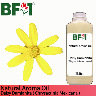 Natural Aroma Oil (AO) - Daisy Damianita ( Chrysactinia Mexicana ) Aroma Oil  - 1L