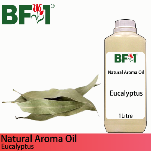 Natural Aroma Oil (AO) - Eucalyptus Aroma Oil  - 1L