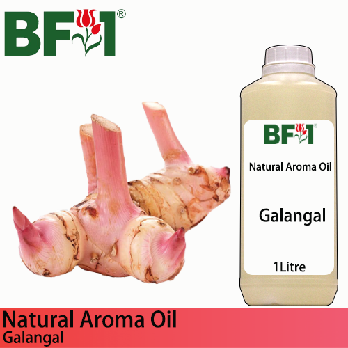 Natural Aroma Oil (AO) - Galangal Aroma Oil  - 1L