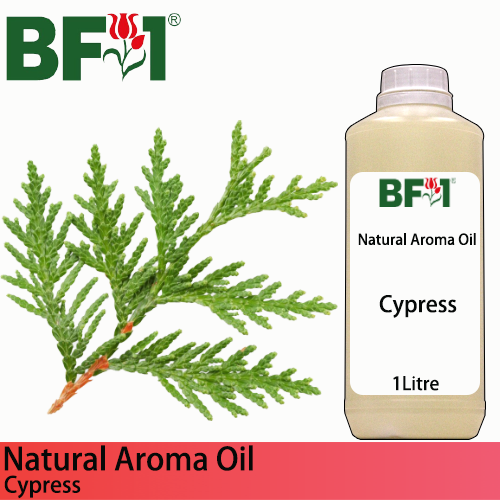 Natural Aroma Oil (AO) - Cypress Aroma Oil - 1L