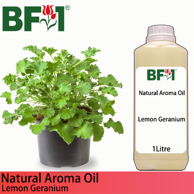 Natural Aroma Oil (AO) - Geranium （ Lemon Geranium ）Aroma Oil  - 1L