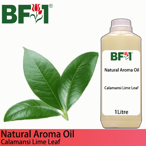 Natural Aroma Oil (AO) - Lime - Calamansi Lime Leaf Aroma Oil  - 1L