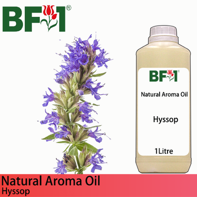 Natural Aroma Oil (AO) - Hyssop Aroma Oil  - 1L