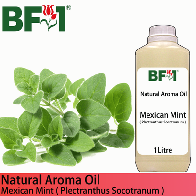 Natural Aroma Oil (AO) - Mint - Mexican Mint ( Plectranthus socotranum ) Aroma Oil  - 1L