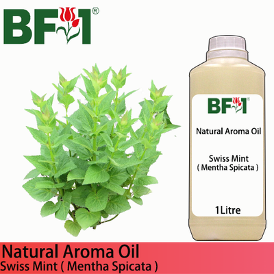 Natural Aroma Oil (AO) - Mint - Swiss Mint ( Mentha Spicata ) Aroma Oil  - 1L