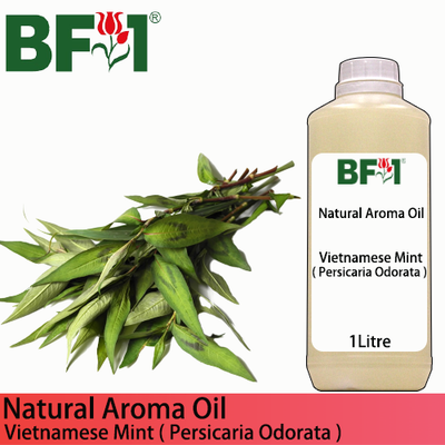 Natural Aroma Oil (AO) - Mint - Vietnamese Mint ( Persicaria Odorata ) Aroma Oil  - 1L