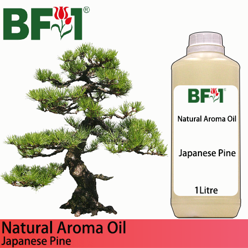 Natural Aroma Oil (AO) - Pine - Japanese Pine Aroma Oil  - 1L