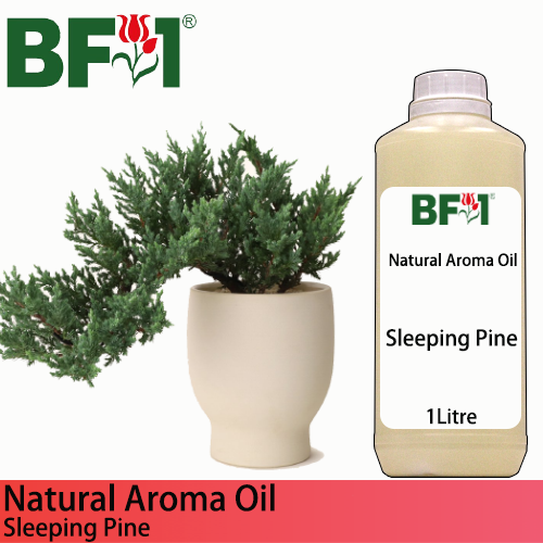 Natural Aroma Oil (AO) - Pine - Sleeping Pine Aroma Oil  - 1L