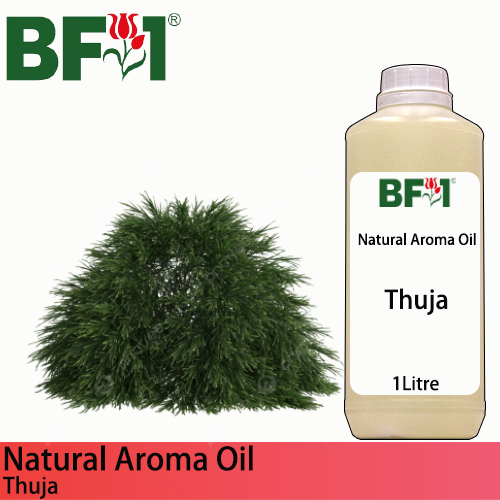 Natural Aroma Oil (AO) - Thuja Aroma Oil  - 1L