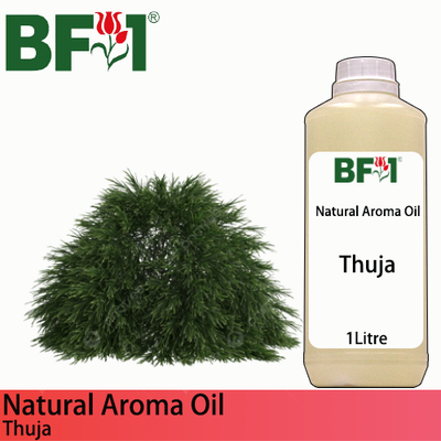 Natural Aroma Oil (AO) - Thuja Aroma Oil - 1L