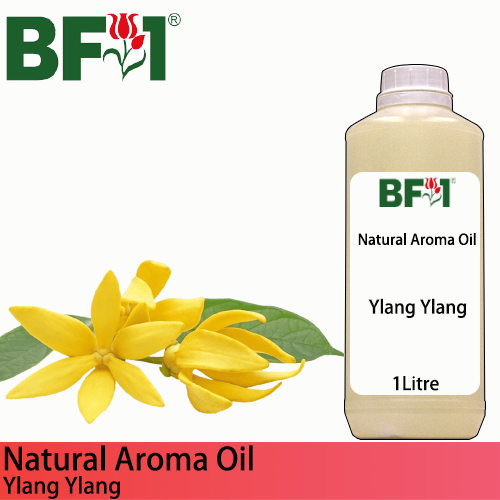 Natural Aroma Oil (AO) - Ylang Ylang Aroma Oil - 1L