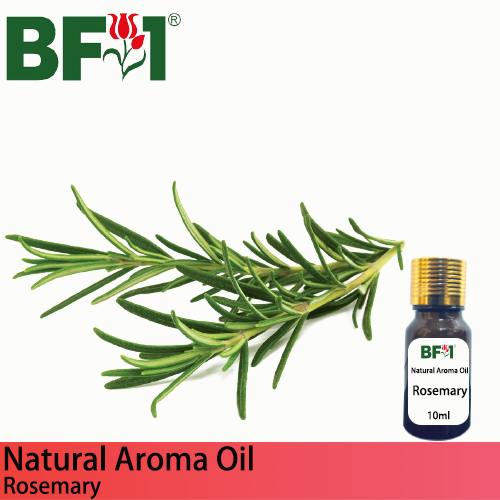 Natural Aroma Oil (AO) - Rosemary Aroma Oil  - 10ml