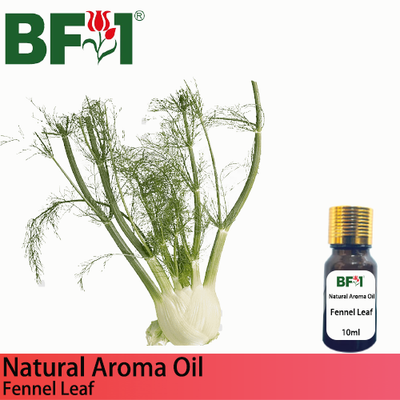 Natural Aroma Oil (AO) - Fennel Leaf Aroma Oil - 10ml