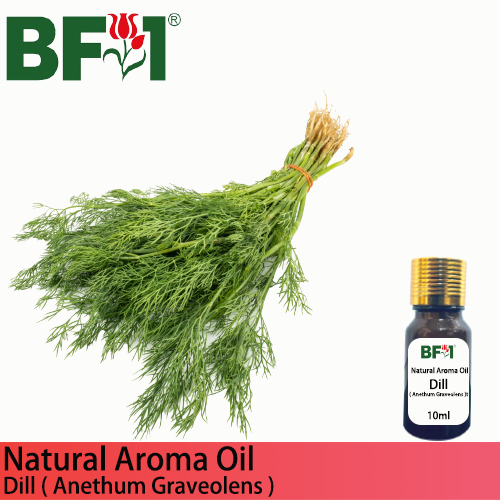 Natural Aroma Oil (AO) - Dill ( Anethum Graveolens ) Aroma Oil - 10ml