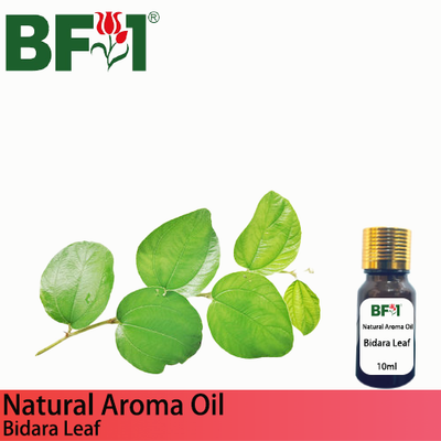Natural Aroma Oil (AO) - Bidara Leaf Aroma Oil - 10ml