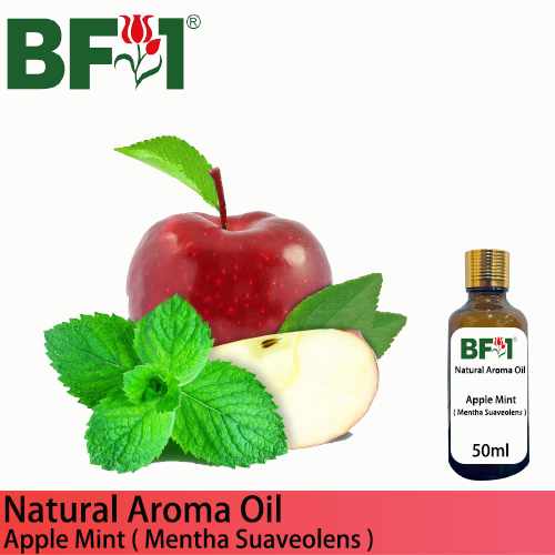 Natural Aroma Oil (AO) - Mint - Apple Mint ( Mentha Suaveolens ) Aroma Oil  - 50ml