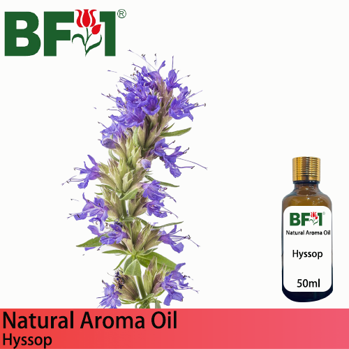 Natural Aroma Oil (AO) - Hyssop Aroma Oil  - 50ml