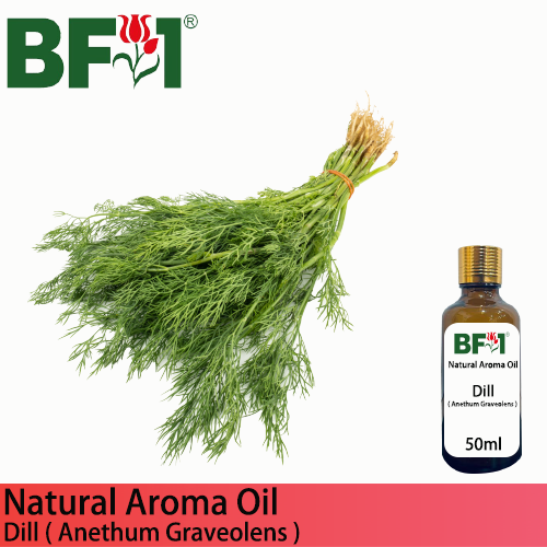 Natural Aroma Oil (AO) - Dill ( Anethum Graveolens ) Aroma Oil - 50ml